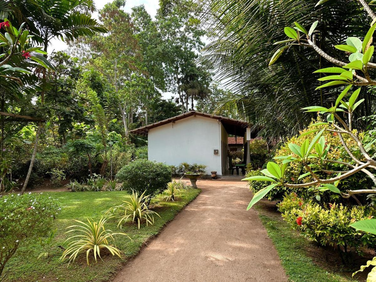 Midigama Inn Ахангама Экстерьер фото