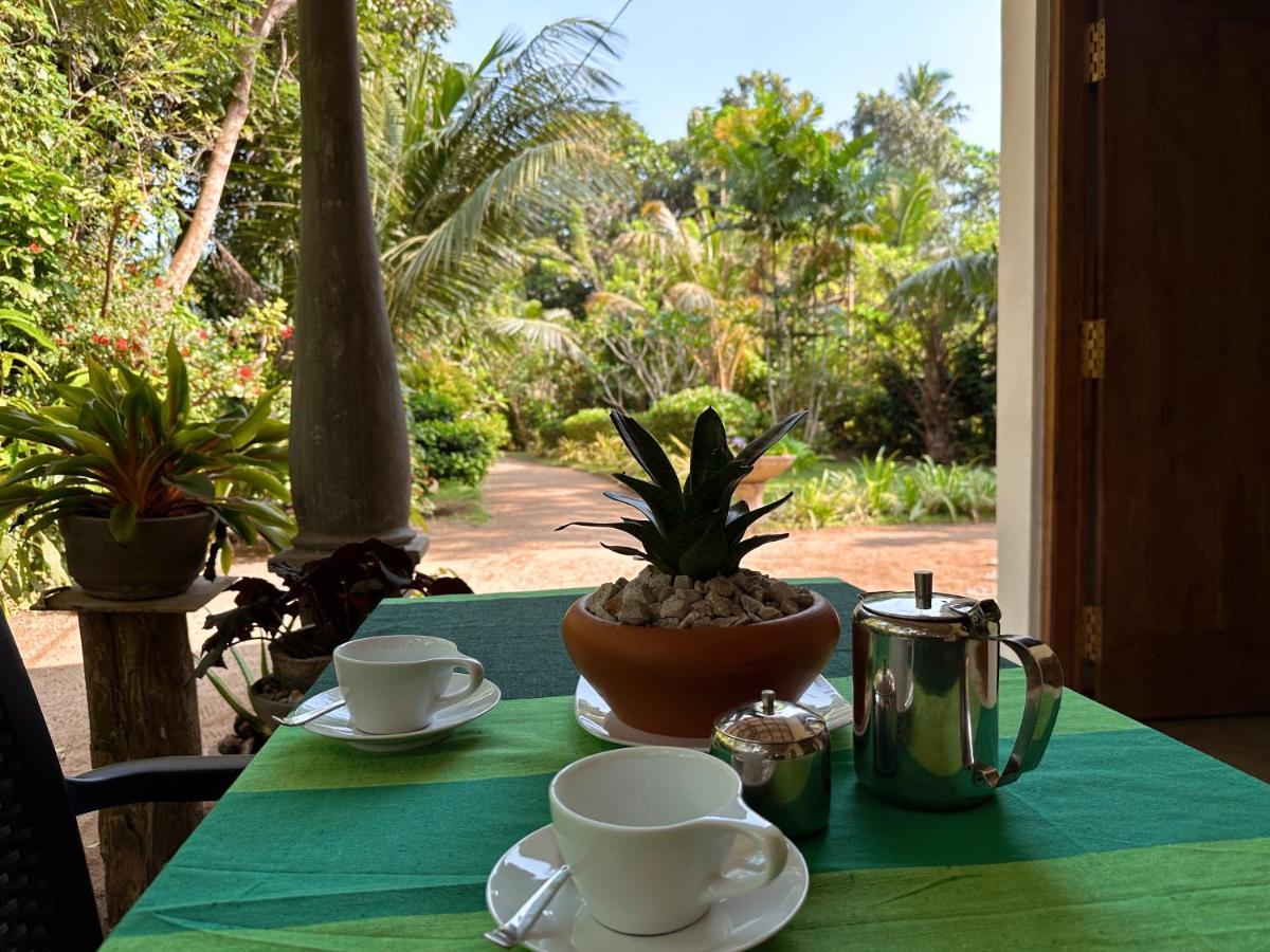 Midigama Inn Ахангама Экстерьер фото